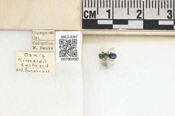 Media type: image;   Entomology 790490 Aspect: Labels